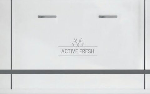 Active Fresh